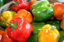 Выращивание болгарского перца в Сибири