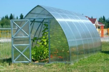 Как выбрать теплицу из поликарбоната: советы и отзывы