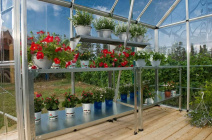 Емкости под рассаду