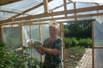 Как и для чего выполняется подвязка огурцов