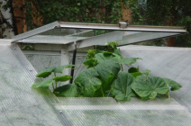 Термопривод для теплиц: характеристики и особенности установки